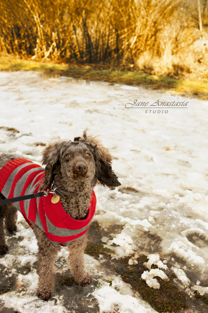 _JAS6121-WEB-Boucle-on-snow-path