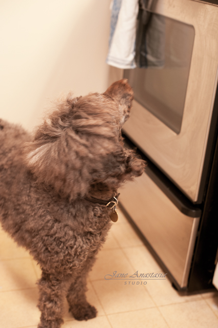 _JAS6533-WEB-Boucle-looking-at-stove