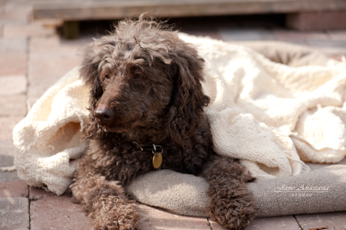 JAS_4720-WEB-Boucle-on-spot-on-patio