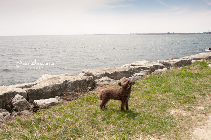 _JAS4069-WEB-Boucle-at-Lake-with-wind-through-ears