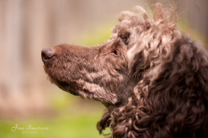 _JAS4127-WEB-Boucle-portrait-enjoying-the-lunch-hour-sun