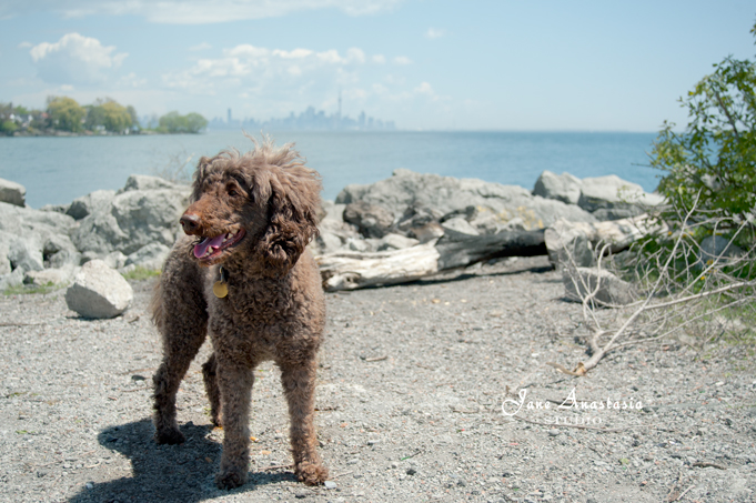 _JAS4322-WEB-Boucle-in-front-of-skyline