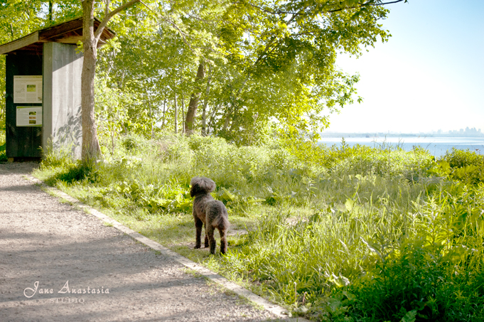 _JAS5265-WEB-Boucle-on-trail