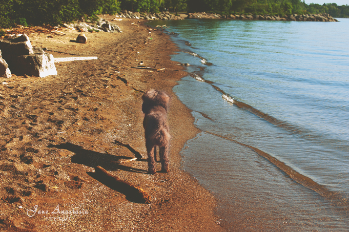 _JAS5600-WEB-Boucle-on-beach-at-lake