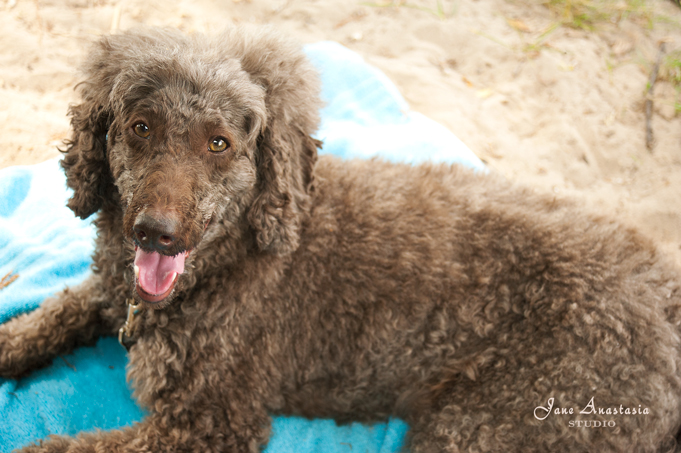 _JAS6223-WEB-Boucle-on-turquoise-towel-at-beach