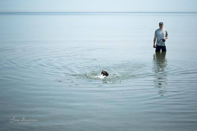 _JAS7059-WEB-Puppy-learning-to-swim