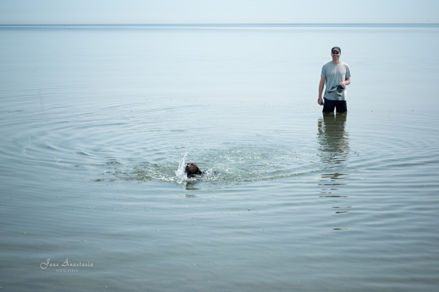 _JAS7060-WEB-Puppy-learning-to-swim