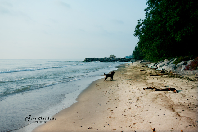 _JAS9077-WEB-Boucle-on-beach