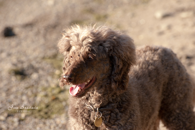 _JAS8818-WEB-Boucle-happiness-at-lake