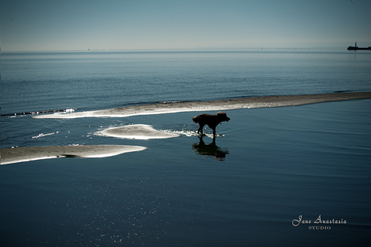 _JAS9410-WEB-Boucle-on-sandbar