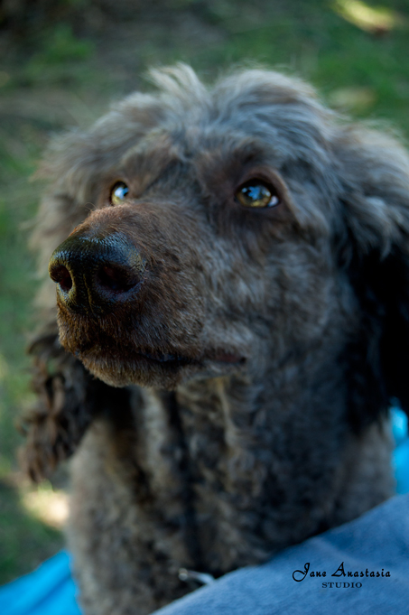 _JAS9444-WEB-Boucle-portrait-at-picnic