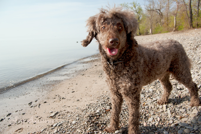 _JAS3464-WEB-Boucle-at-beach