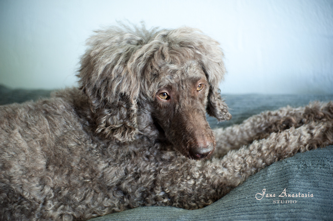 _JAS3606-WEB-Boucle-on-bed