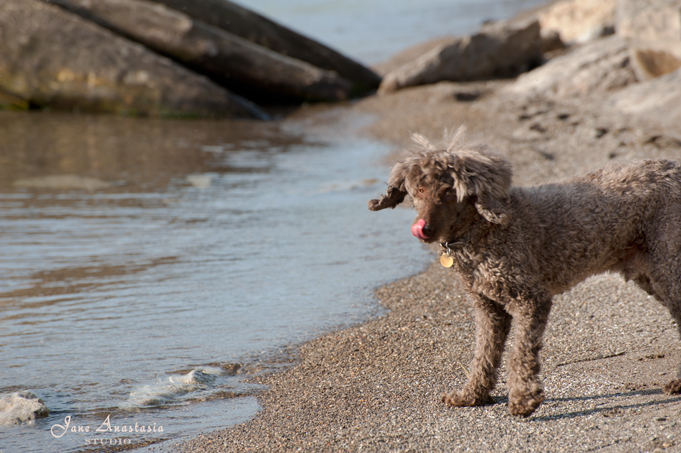 _JAS3672-WEB-Boucle-at-lake-licking