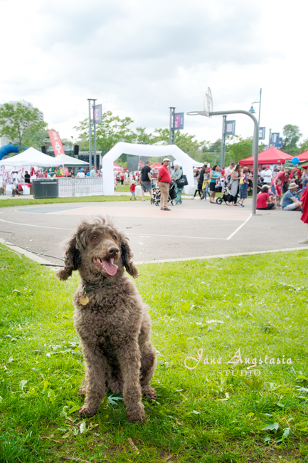 _JAS5009-WEB-Boucle-Canada-Day-2