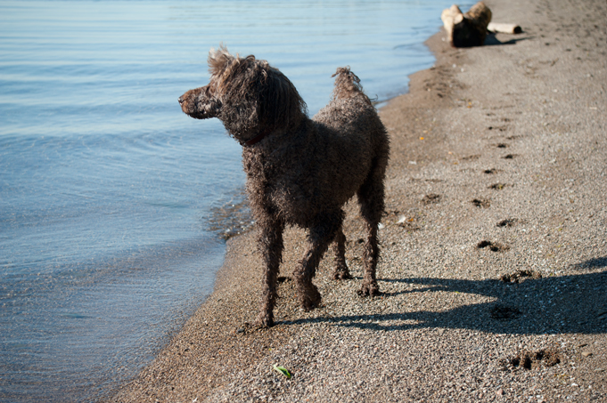 _JAS5676-WEB-Boucle-after-swimming-lesson